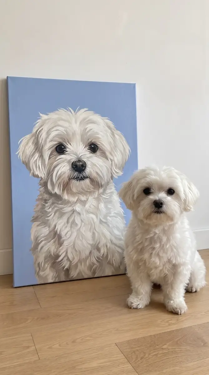 Portrait d’un petit chien dans un intérieur de présentation